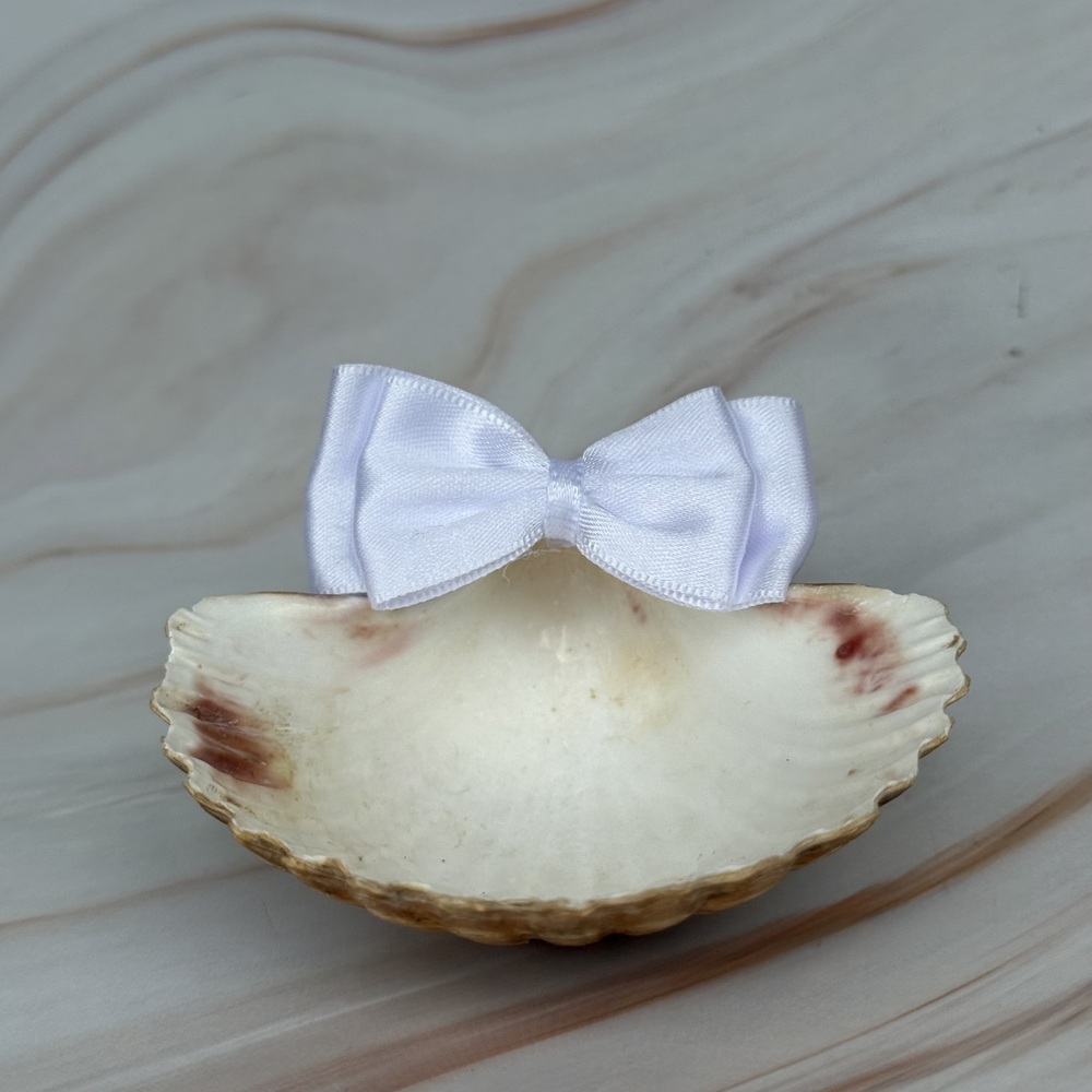 Kit de Bautizo Virgen de Guadalupe, Plateada